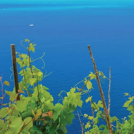 Appartamento One-bedroom With Sea View In Orebić