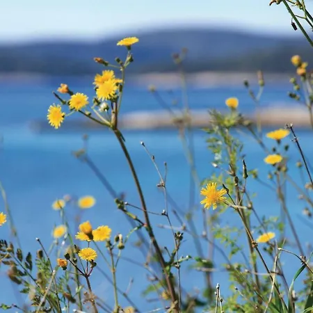One-bedroom With Sea View In 오레비츠