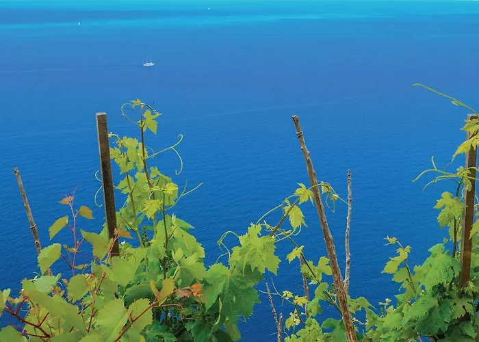 شقة One-bedroom With Sea View In أوروبيتش